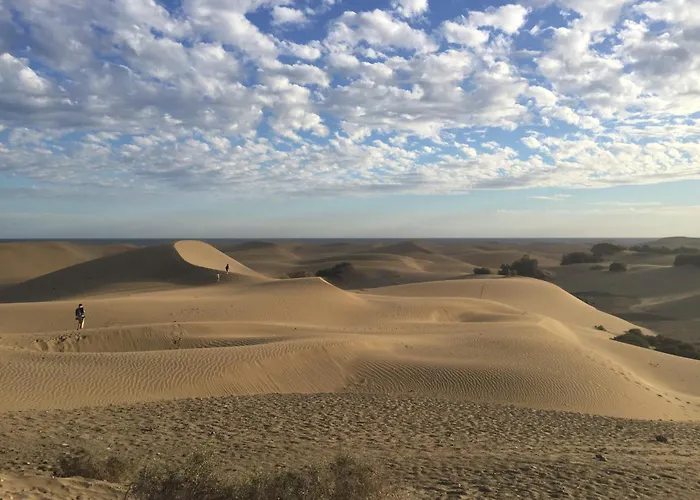 Atlantic Coast 'princely' - *