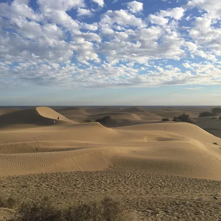 Atlantic Coast 'princely' - *